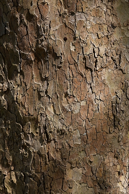 Jardin des Impressionnistes-MAI14-105